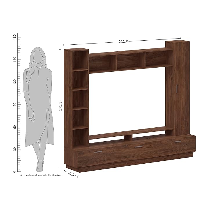 Wall-Mounted TV Unit