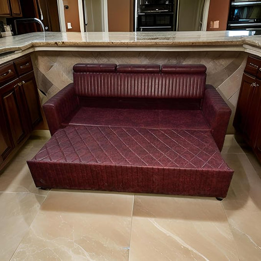 Sofa Cum Bed (Leather)