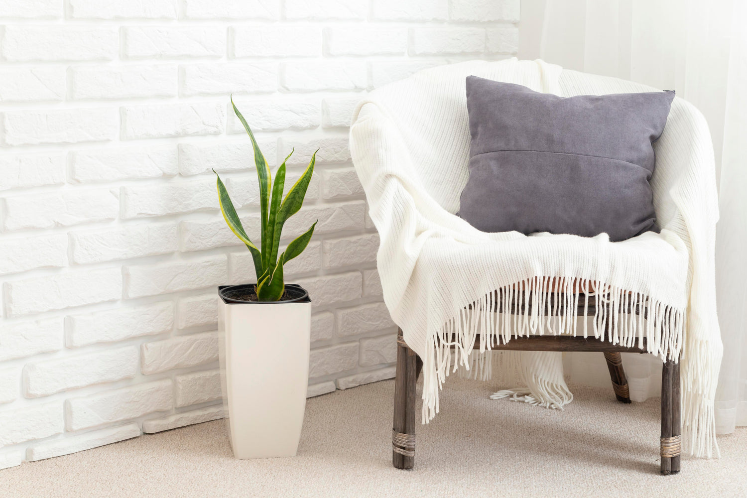 Accent Chair